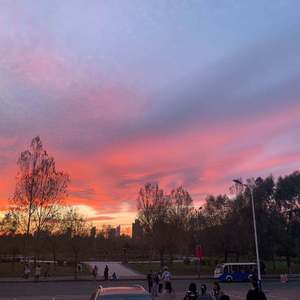 美国免费一级毛片
