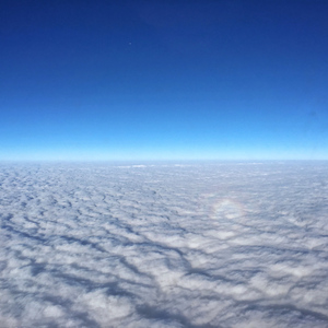 美国免费一级毛片
